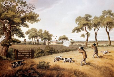 Scena polowania na kuropatwę: XIX-wieczna litografia Gien, muzeum łowiectwa autorstwa Unknown artist