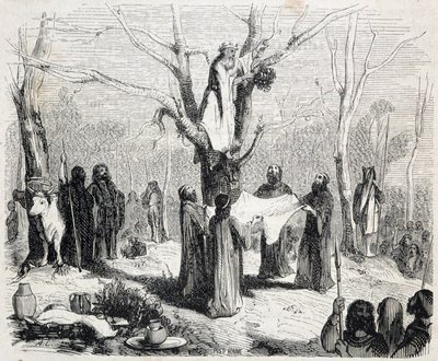 Pitre Chevalier, pod redakcją W. Coquebert autorstwa Unknown artist
