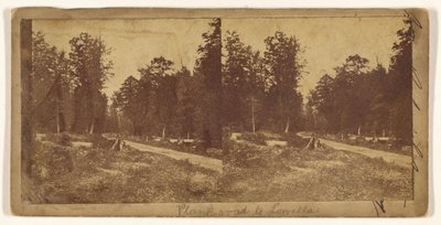 [Droga z desek do Lowelli] (recto); [Niezidentyfikowane miasto] (verso) autorstwa Unknown artist