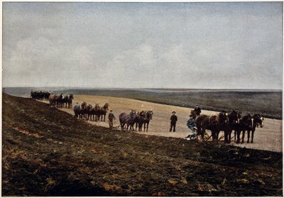 Orka na równinach Manitoba (Kanada), koniec XIX wieku autorstwa Unknown artist