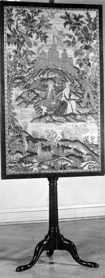 Ekran biegunowy autorstwa Unknown artist