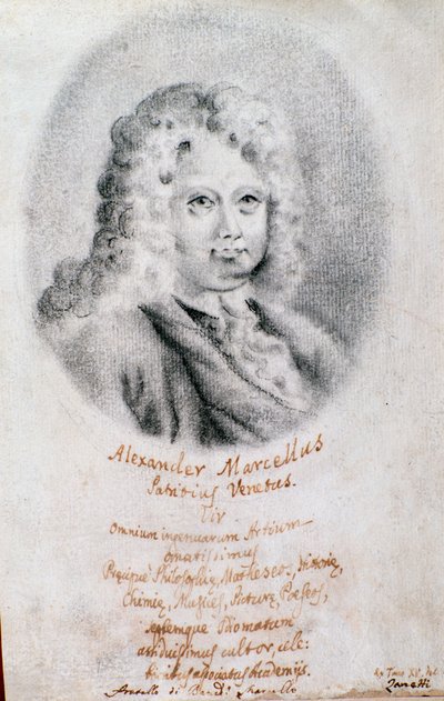 Portret Alessandro Marcello (rysunek) autorstwa Unknown artist