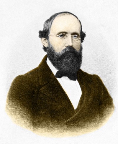 Portret Bernharda Riemanna (1826-1866.) niemieckiego matematyka autorstwa Unknown artist