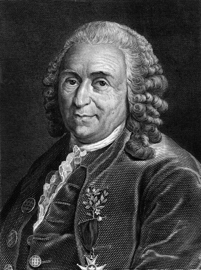 Portret Carla Von Linné szwedzkiego przyrodnika i pisarza (1707 - 1778). Św. rycina z XIX wieku. autorstwa Unknown artist