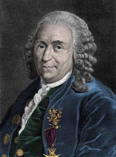 Portret Karola Linne (Carl von Linne, Linneus 1707-1778), szwedzkiego przyrodnika. Rycina XIX wieku. autorstwa Unknown artist
