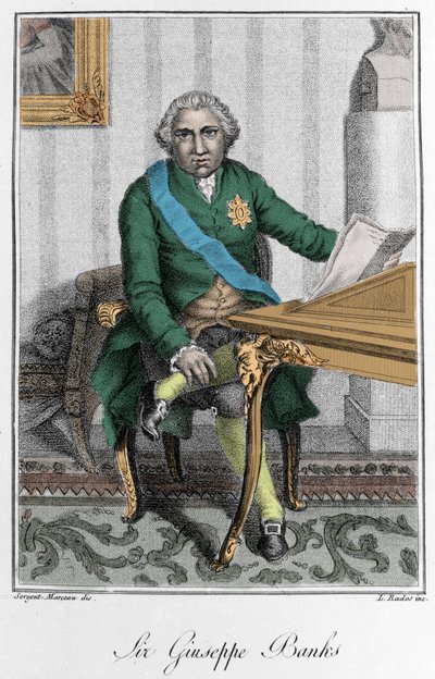 Portret Sir Josepha Banksa (1743-1820), angielskiego odkrywcy i przyrodnika. Grawerowanie w kolorze autorstwa Unknown artist
