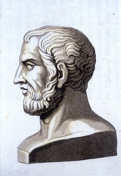 Portret Teofrasty (372 pne-287 pne), greckiego filozofa. autorstwa Unknown artist