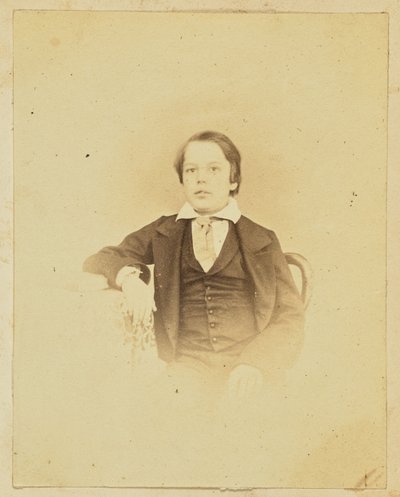[Portret młodego chłopca] autorstwa Unknown artist