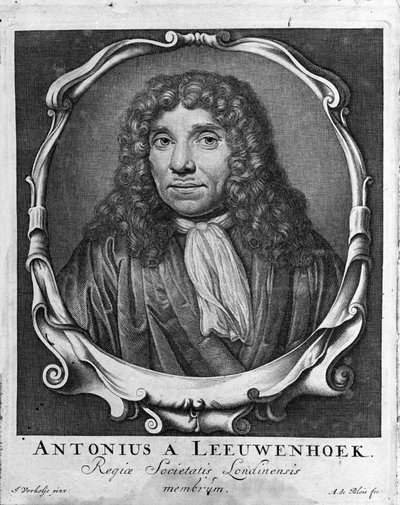 Portret holenderskiego kupca i uczonego Antoine van Leeuwenhoek (lub Leeuvenhoek Leeuwenhoeck) (lub Antoni lub Anthonie) (1632-1723) Rycina z „Investigatio Arcanorum” 1722. autorstwa Unknown artist
