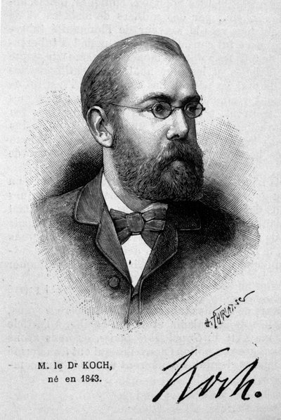 Portret niemieckiego lekarza Roberta Kocha (1843-1910). autorstwa Unknown artist