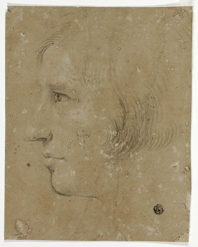 Profil męskiej głowy w lewo autorstwa Unknown artist