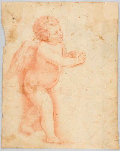 Putto robi węzeł autorstwa Unknown artist