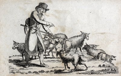 Pasterz ze swoim stadem owiec. Grawerowanie pod koniec XVIII wieku. Prywatna kolekcja. autorstwa Unknown artist