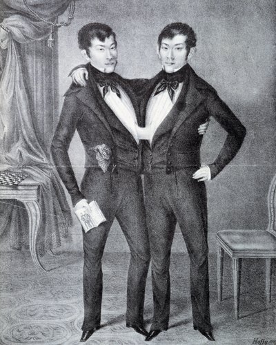 syjamski autorstwa Unknown artist