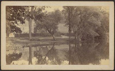 [Silverspring Pond] autorstwa Unknown artist
