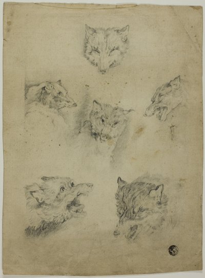 Sześć szkiców głów wilka autorstwa Unknown artist