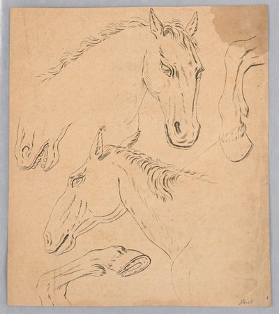 Szkice łbów i kopyt konia autorstwa Unknown artist