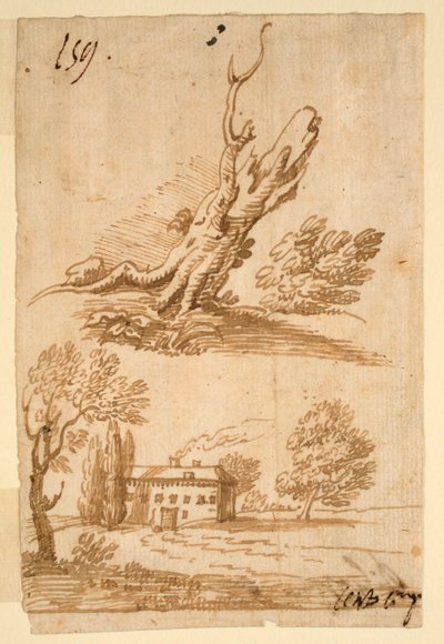 Szkice willi i drzewa autorstwa Unknown artist