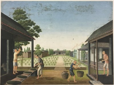 Przędzenie tkanin, przygotowywanie liści herbaty, przygotowywanie jedwabiu autorstwa Unknown artist
