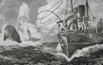 Parowce jako wielorybniki autorstwa Unknown artist