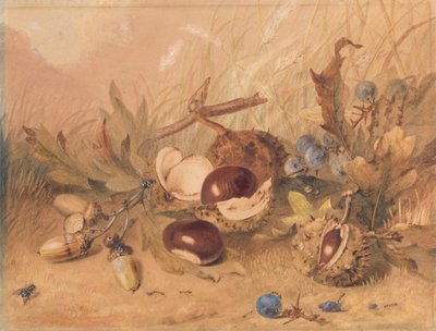 Martwa natura z żołędziami i kasztanami autorstwa Unknown artist