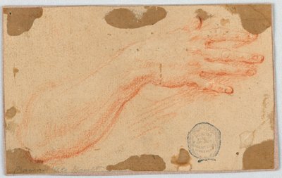 Studium prawego przedramienia i dłoni kobiety autorstwa Unknown artist
