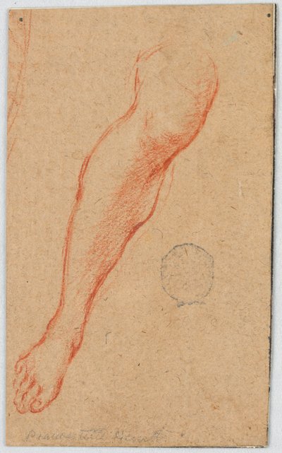 Studiuj prawą nogę siedzącej kobiety autorstwa Unknown artist