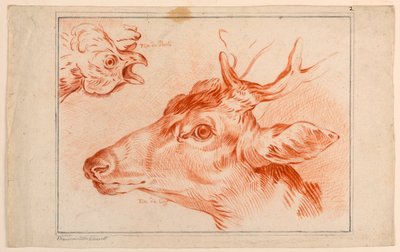 Studium głów kurczaka i jelenia autorstwa Unknown artist