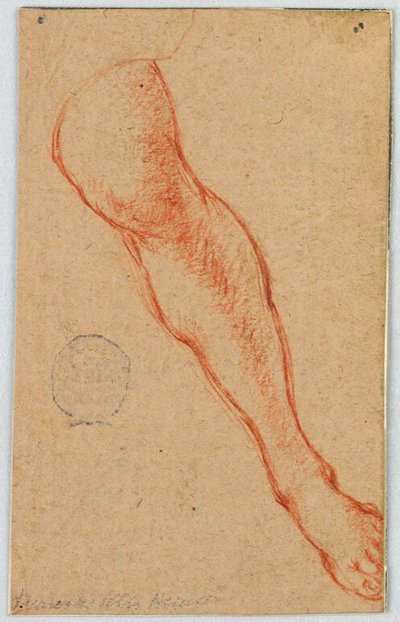 Badanie lewej nogi siedzącej kobiety autorstwa Unknown artist