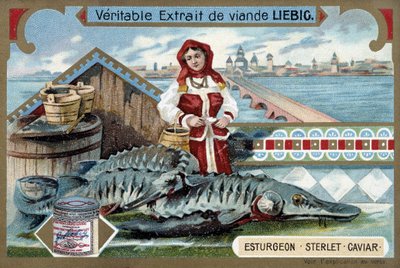 Jesiotr, sterlet, kawior, z młodą kobietą trzymającą wiadra przed rosyjskim miastem - chromolitografia Liebiga autorstwa Unknown artist
