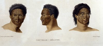 Tatuaże pochodzące z Nowej Zelandii. autorstwa Unknown artist