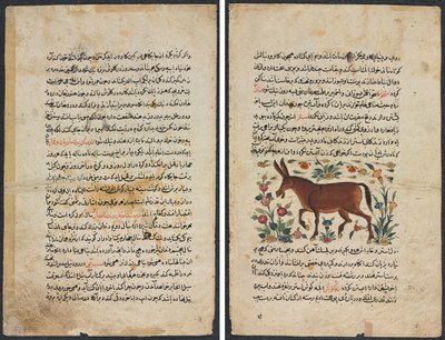 Strona tekstowa, proza perska (Recto); Khar (Dupa) (Verso) autorstwa Unknown artist