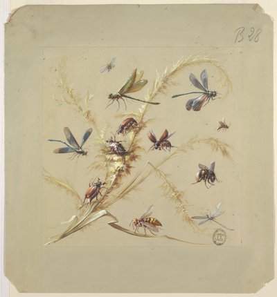 Projektowanie tkanin lub tapet: Owady autorstwa Unknown artist