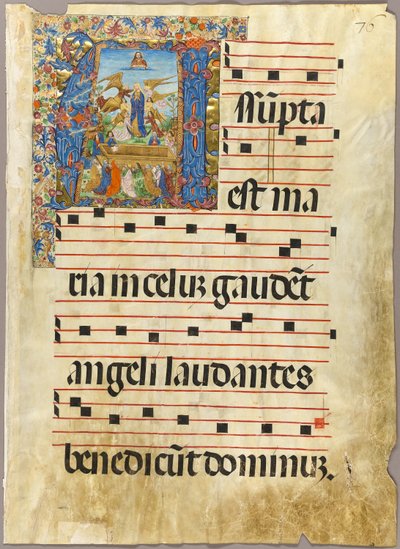 Wniebowzięcie Najświętszej Maryi Panny w historiozbawczym wstępie z Graduału autorstwa Unknown artist
