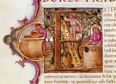 Lettryna żniwna z rękopisu „Historia naturalna” rzymskiego pisarza i przyrodnika Pliniusza Starszego (23-79 ne) XV-wieczna Wenecja Biblioteca Marciana autorstwa Unknown artist