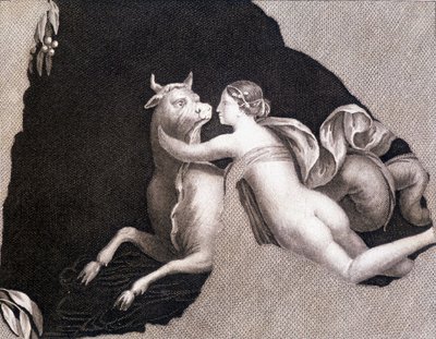 Porwanie Europy - grawerowanie autorstwa Unknown artist