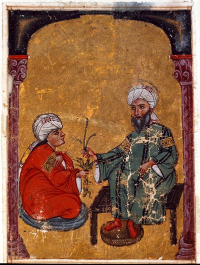 Doktor i botanik Pedanius Dioscoride (Dioscorides) (40-90 ne) wyjaśniający jednemu ze swoich uczniów zalety miniaturowych roślin wywodzących się z jego traktatu „De materia medica” (Fol. 2 verso) Z Iraku. 1229 Biblioteka Muzeum Topkapi Sarayi, Stambuł autorstwa Unknown artist