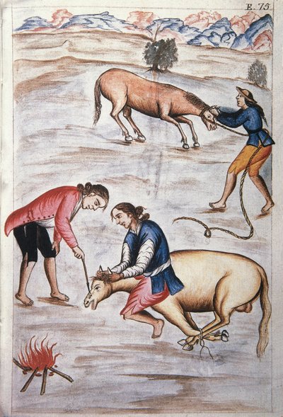 Znakowanie czerwonego żelaza klaczy, z książki „Trujillo del Peru” lub „Kodeks Martinez Companion”, autorstwa Baltazara Martineza Companion i Bujandy, biskupa Trujillo (1782-1785) autorstwa Unknown artist