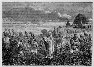 Winorośle wykorzenione w Galach z rozkazu cesarza Domicjana - w „Cuda przemysłu” Louisa Figuiera, Paryż autorstwa Unknown artist