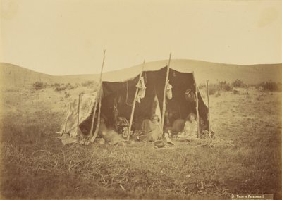 Markiza Patagones. autorstwa Unknown artist