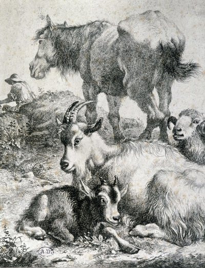Zaprzęgnięty koń, koza, koza i baran - grawerowanie autorstwa Unknown artist