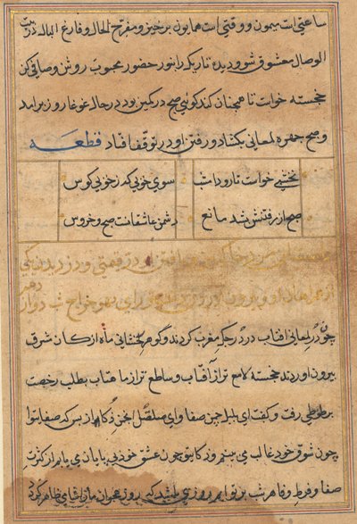 Tuti-Nama (Opowieści papugi) autorstwa Unknown artist