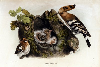 Nieznany obraz autorstwa Unknown artist