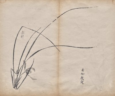 Nieuprawny autorstwa Unknown artist