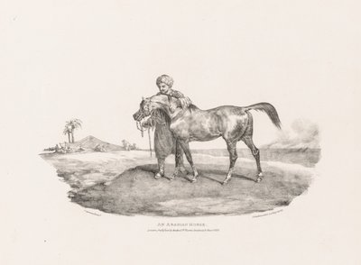 Różne tematy zaczerpnięte z życia i na kamieniu: koń arabski autorstwa Unknown artist