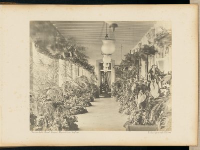 Weranda. Government House. Maurituis. autorstwa Unknown artist