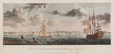 Widok na miasto Paramaribo, z drogą i żeglugą z przeciwległego brzegu autorstwa Unknown artist