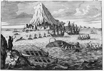 Wielorybnictwo z wyspy Jan Mayen. grawerowanie na początku XVIII wieku autorstwa Unknown artist