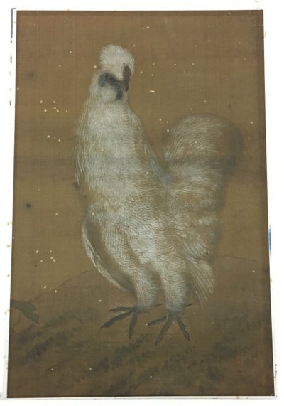 Biały Kogut autorstwa Unknown artist