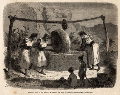 Praca kobiet, mielenie oliwek w młynie, jeden z głównych produktów rolnych w Djurjura (Algieria). Grawer ilustrujący wyprawę do wielkiego Kabilie, między Morzem Śródziemnym a Djurjurą, w 1864 r., Komandor Duhousset, w „” Le tour du mo autorstwa Unknown artist